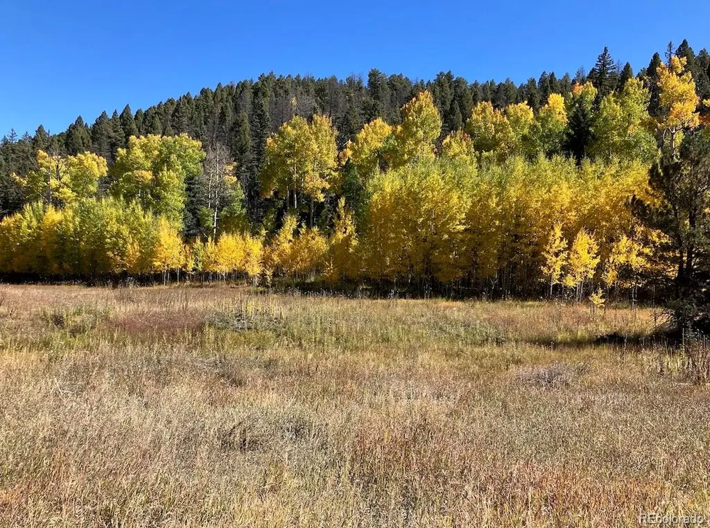 Lot 1 Co Road 358 Westcliffe CO 81252