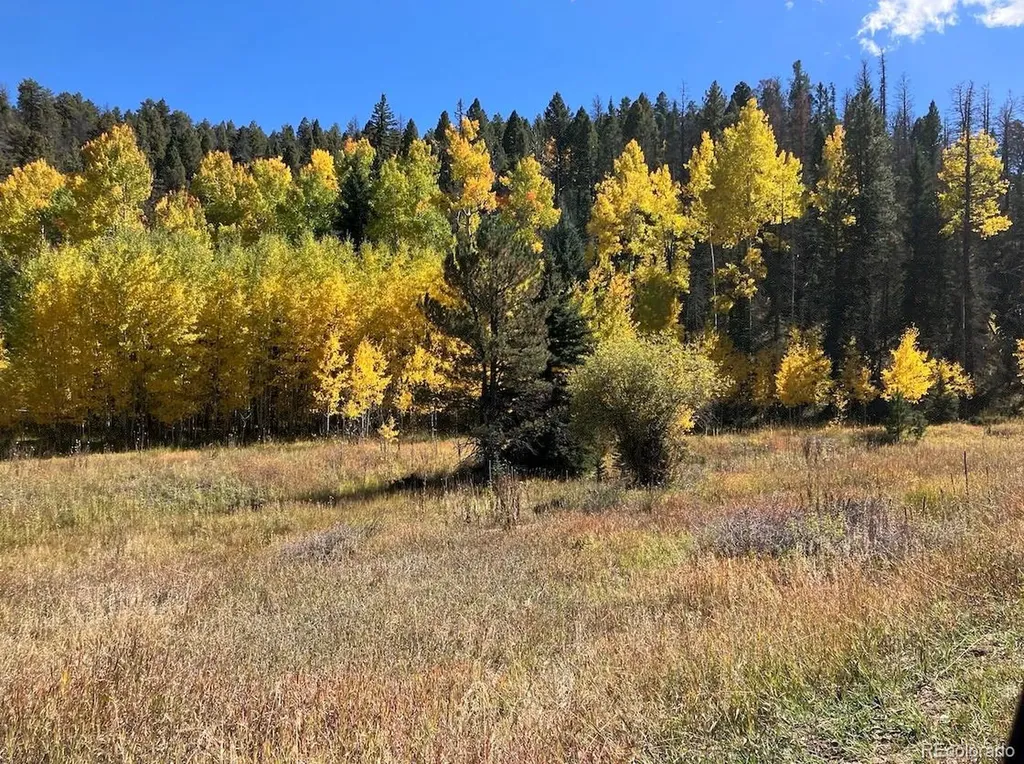 Lot 1 Co Road 358 Westcliffe CO 81252
