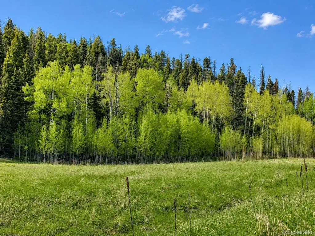 Lot 1 Co Road 358 Westcliffe CO 81252