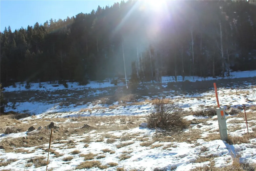 Lot 1 Co Road 358 Westcliffe CO 81252