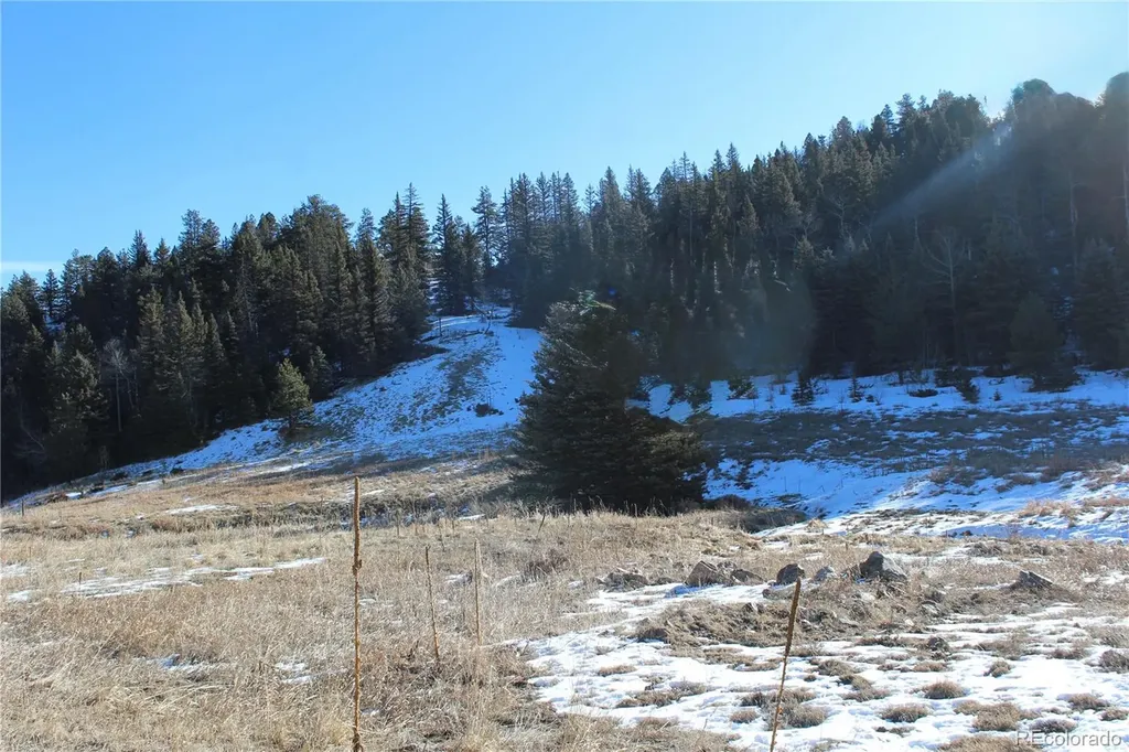 Lot 1 Co Road 358 Westcliffe CO 81252