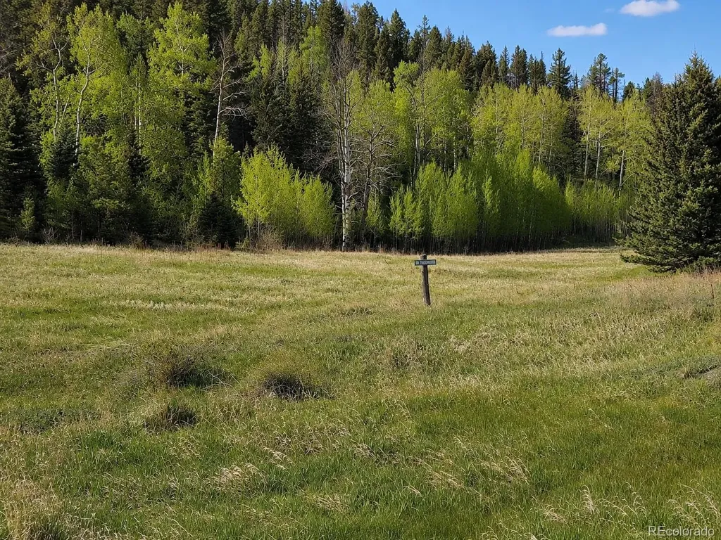 Lot 1 Co Road 358 Westcliffe CO 81252