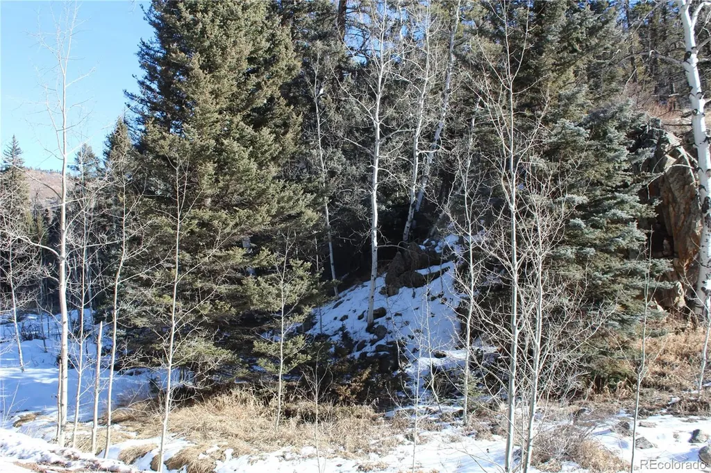 Lot 1 Co Road 358 Westcliffe CO 81252