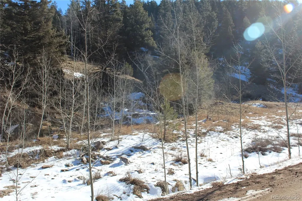 Lot 1 Co Road 358 Westcliffe CO 81252