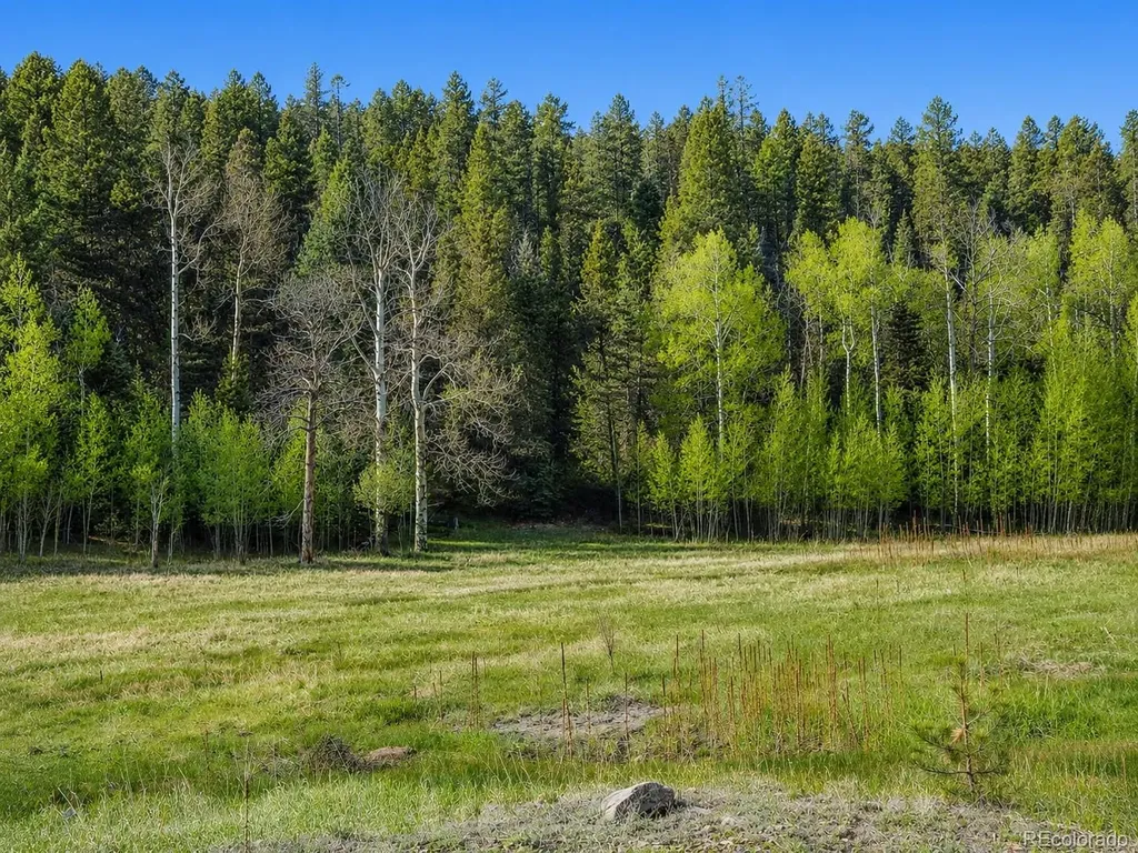 Lot 1 Co Road 358 Westcliffe CO 81252