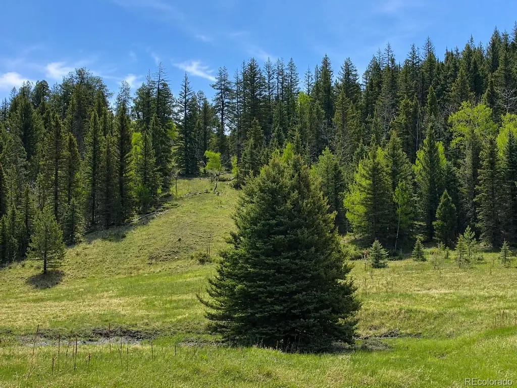 Lot 1 Co Road 358 Westcliffe CO 81252