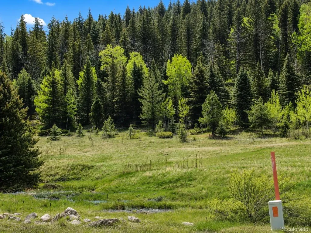 Lot 1 Co Road 358 Westcliffe CO 81252