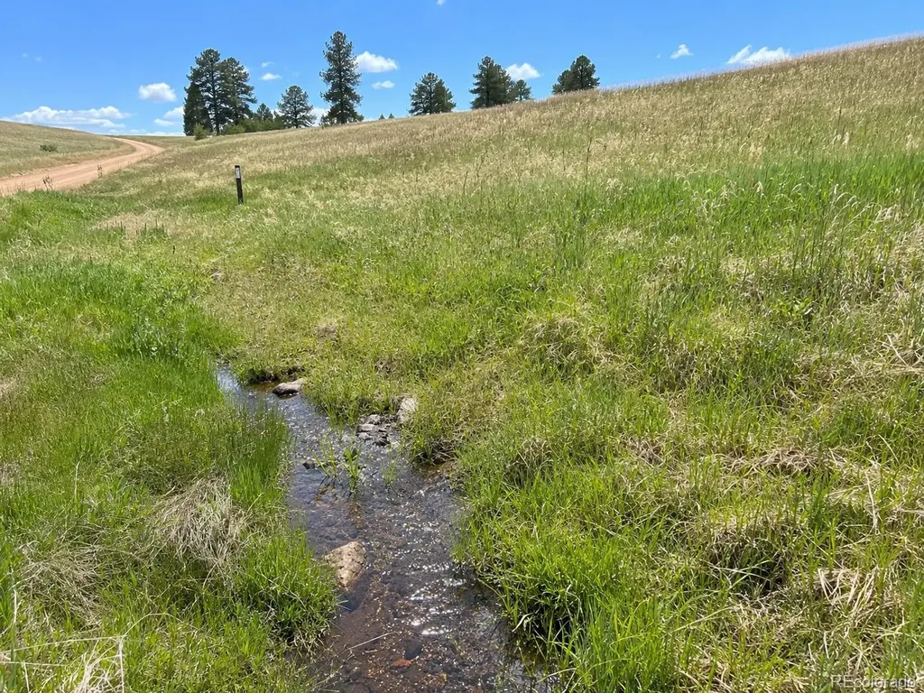 Lot 1 Co Road 358 Westcliffe CO 81252
