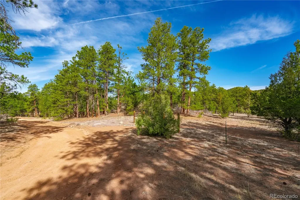 870 Oak Drive Westcliffe CO 81252