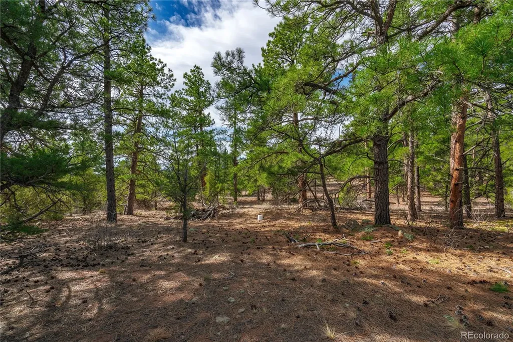 870 Oak Drive Westcliffe CO 81252