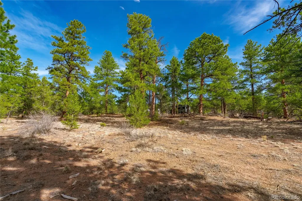 870 Oak Drive Westcliffe CO 81252