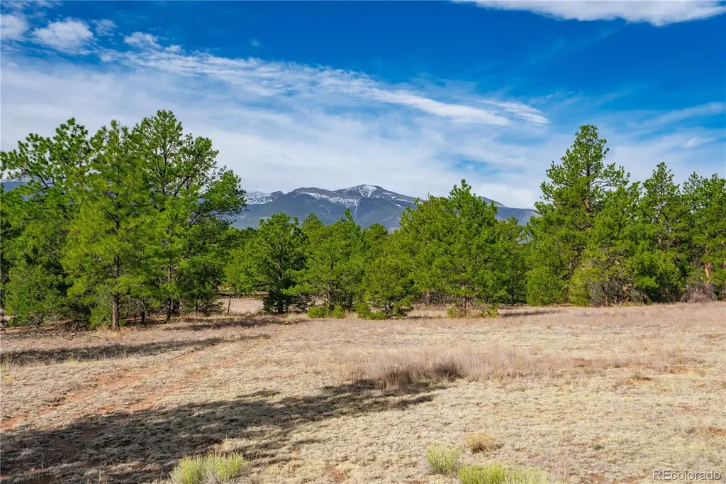 870 Oak Drive Westcliffe CO 81252
