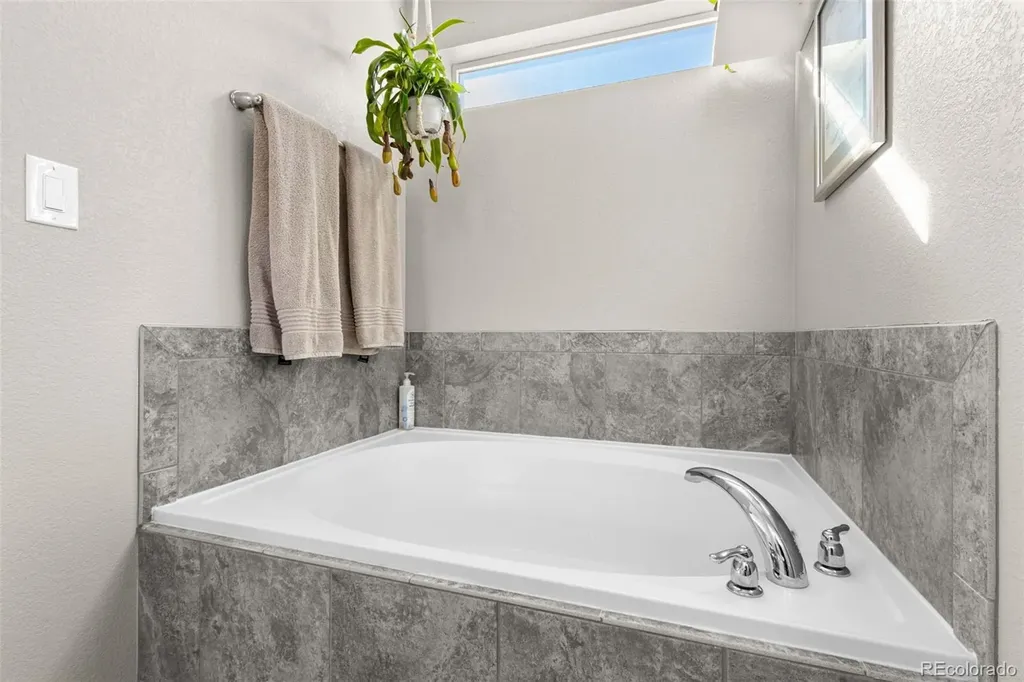 4469 Mcmurdo Court Castle Rock CO 80108