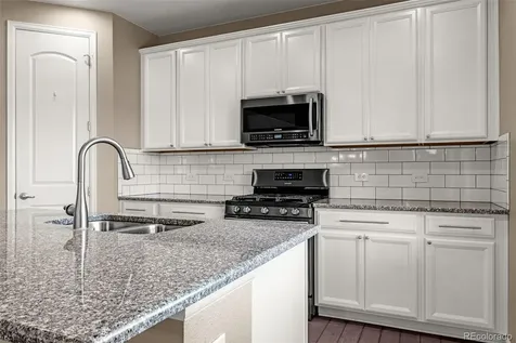 4469 Mcmurdo Court Castle Rock CO 80108