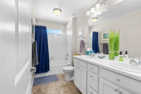 4469 Mcmurdo Court Castle Rock CO 80108