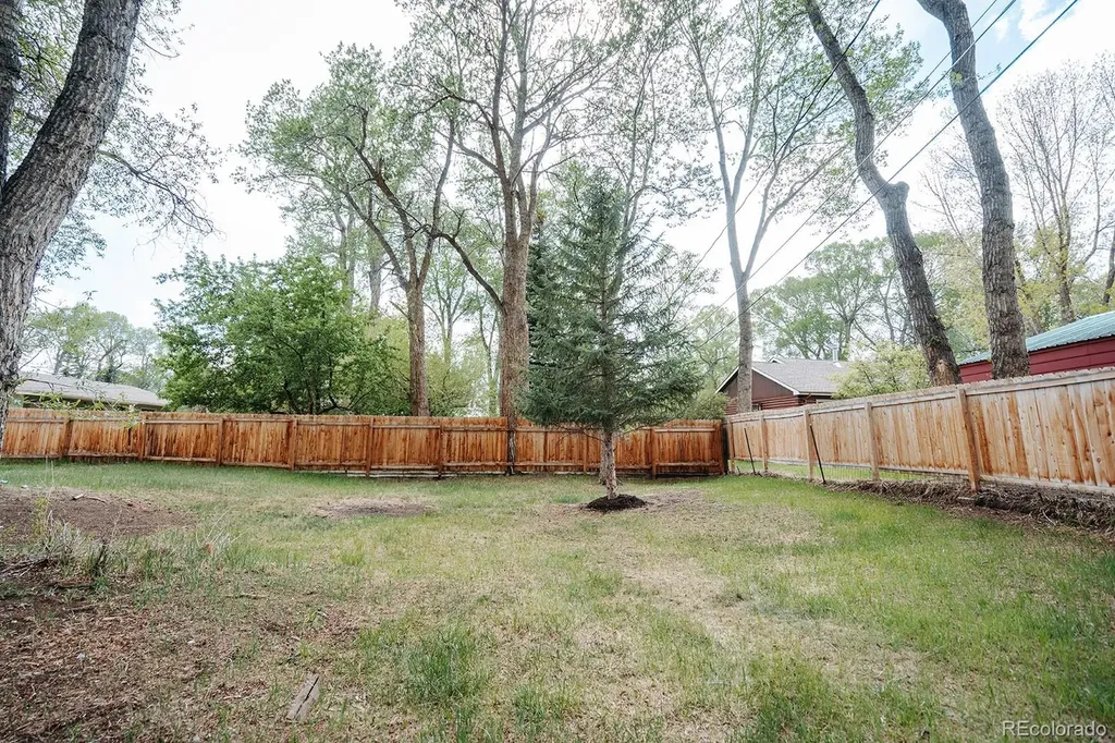 440 Mill Street Buena Vista CO 81211