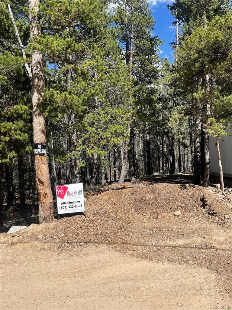 000 Silver Creek Road Idaho Springs CO 80452