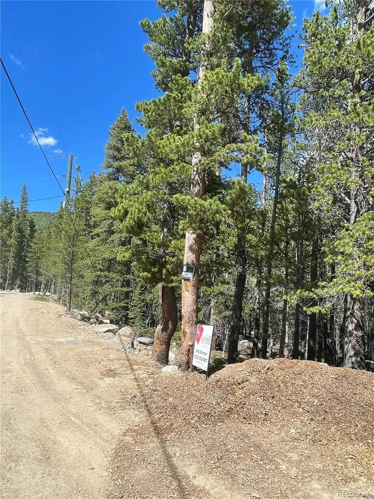 000 Silver Creek Road Idaho Springs CO 80452