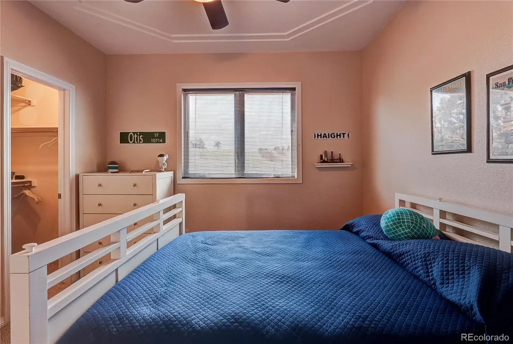 2157 Dragoon Court Castle Rock CO 80109
