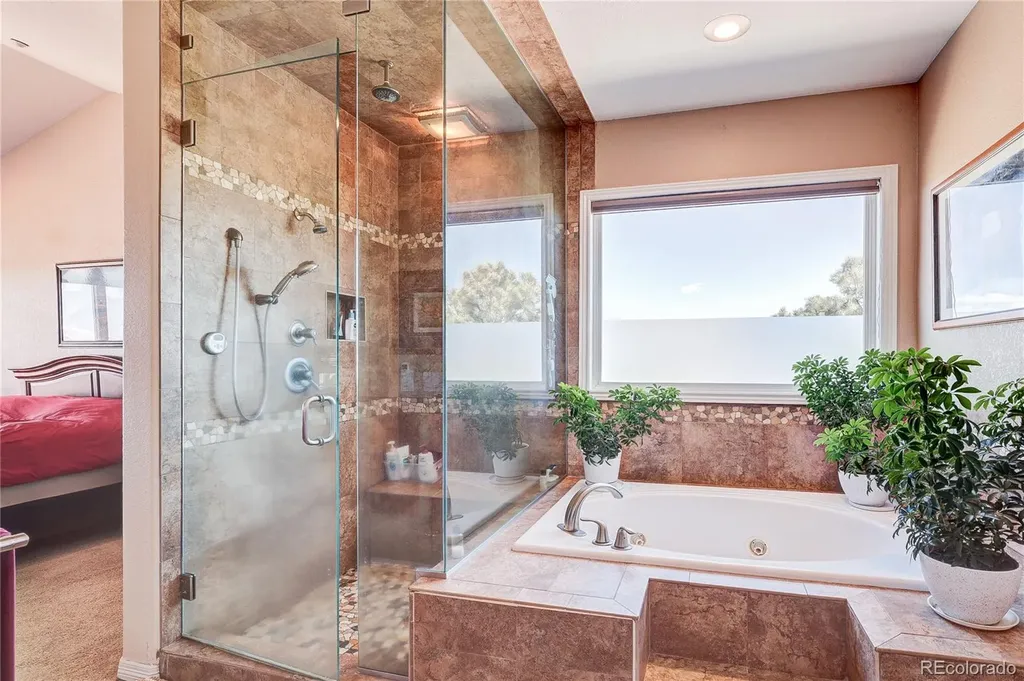 2157 Dragoon Court Castle Rock CO 80109