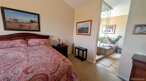 2157 Dragoon Court Castle Rock CO 80109