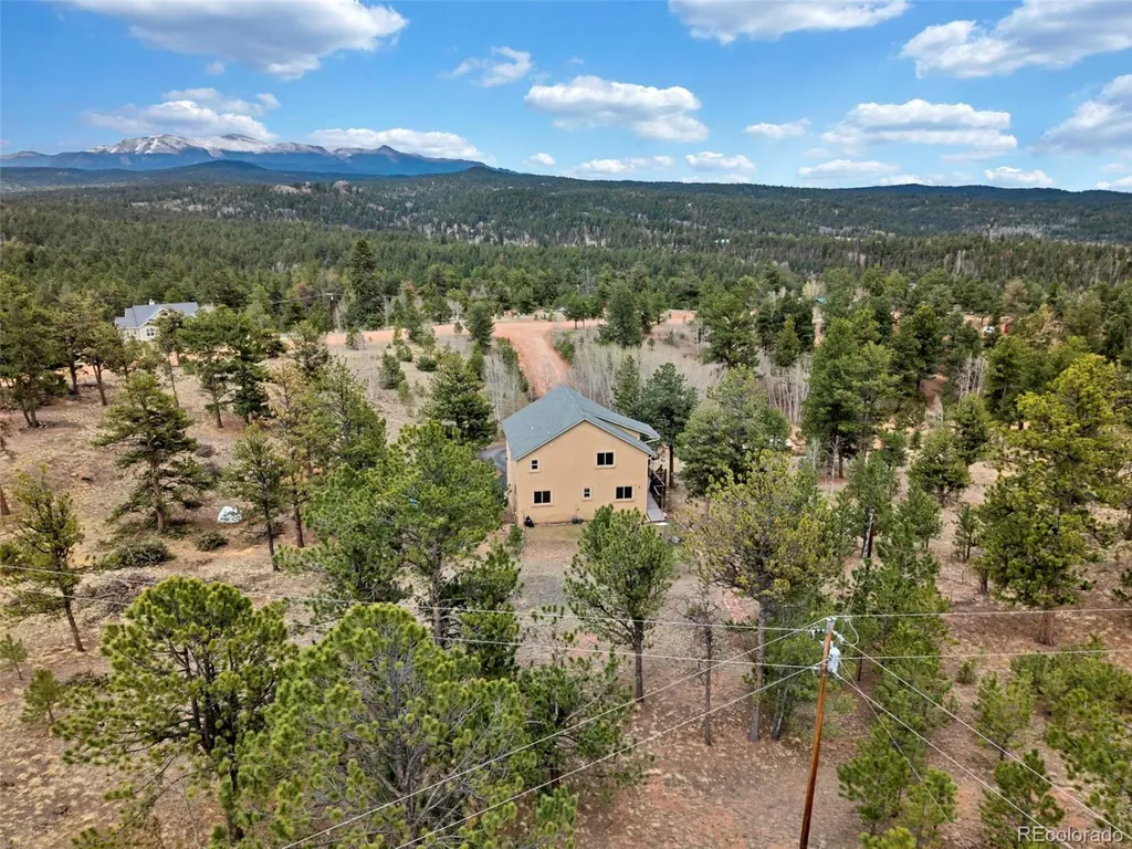 38 Kingston Drive Florissant CO 80816