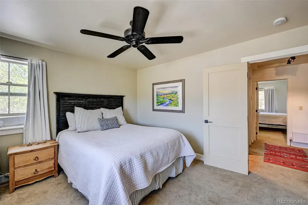 430 Crossman Avenue Buena Vista CO 81211