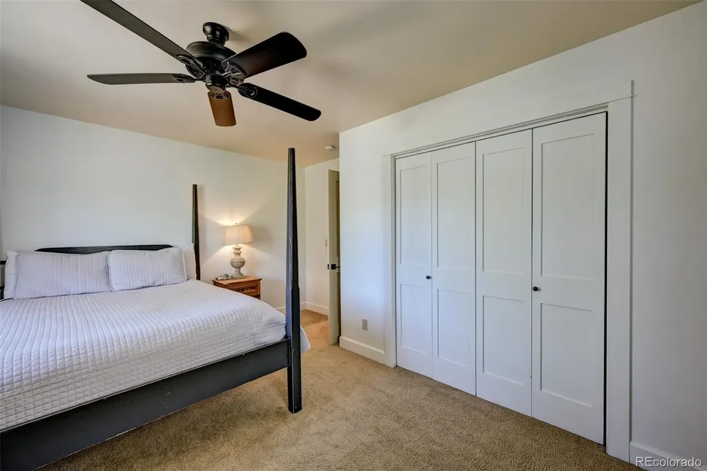 430 Crossman Avenue Buena Vista CO 81211