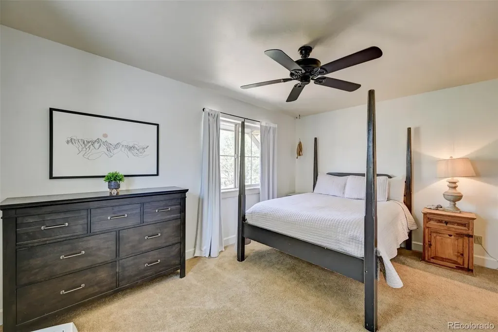 430 Crossman Avenue Buena Vista CO 81211