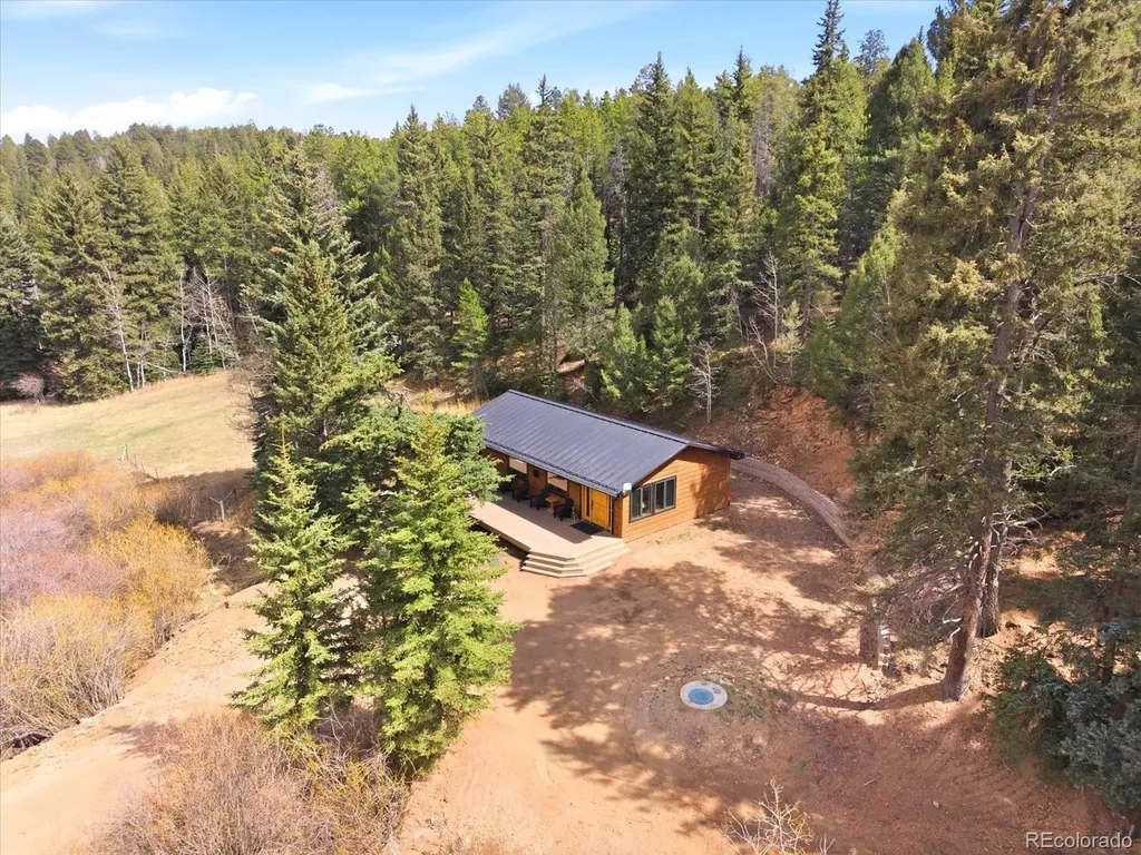 28084 Meadow Trail Conifer CO 80433
