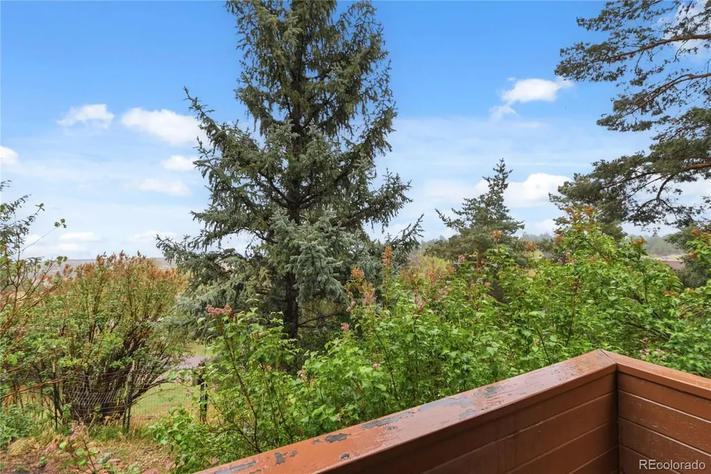 4535 Sentinel Rock Larkspur CO 80118