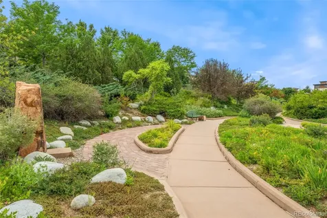 804 Rockhurst Drive Highlands Ranch CO 80129