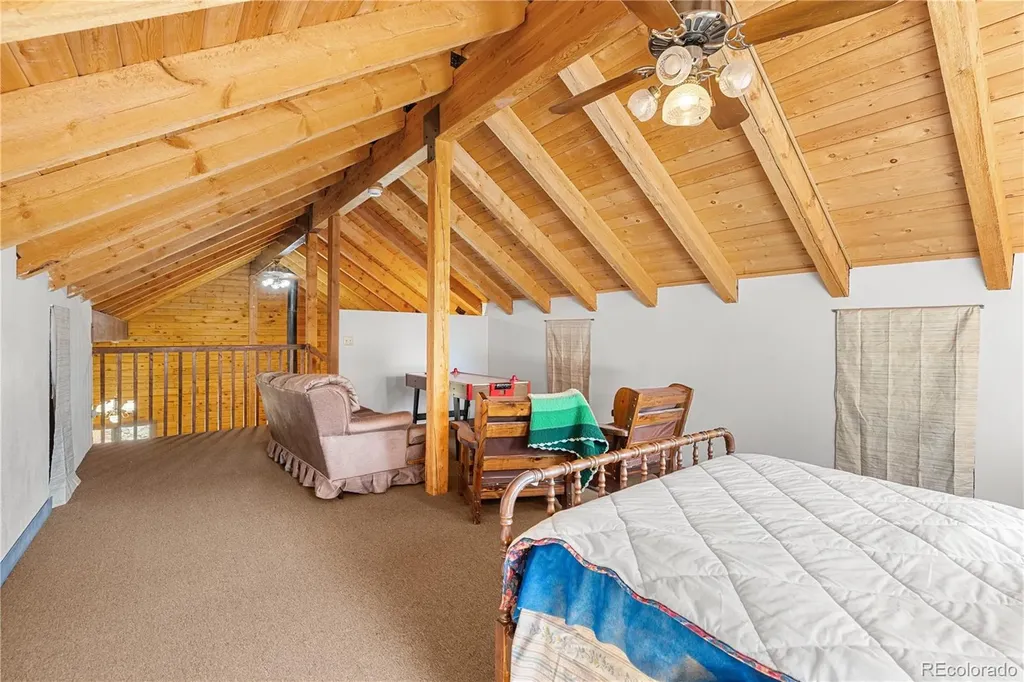424 Dry Gulch Road Fairplay CO 80440