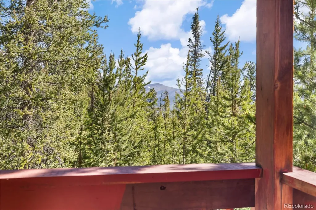 424 Dry Gulch Road Fairplay CO 80440