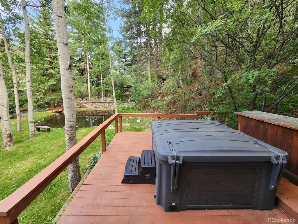 731 Mill Creek Road Dumont CO 80436