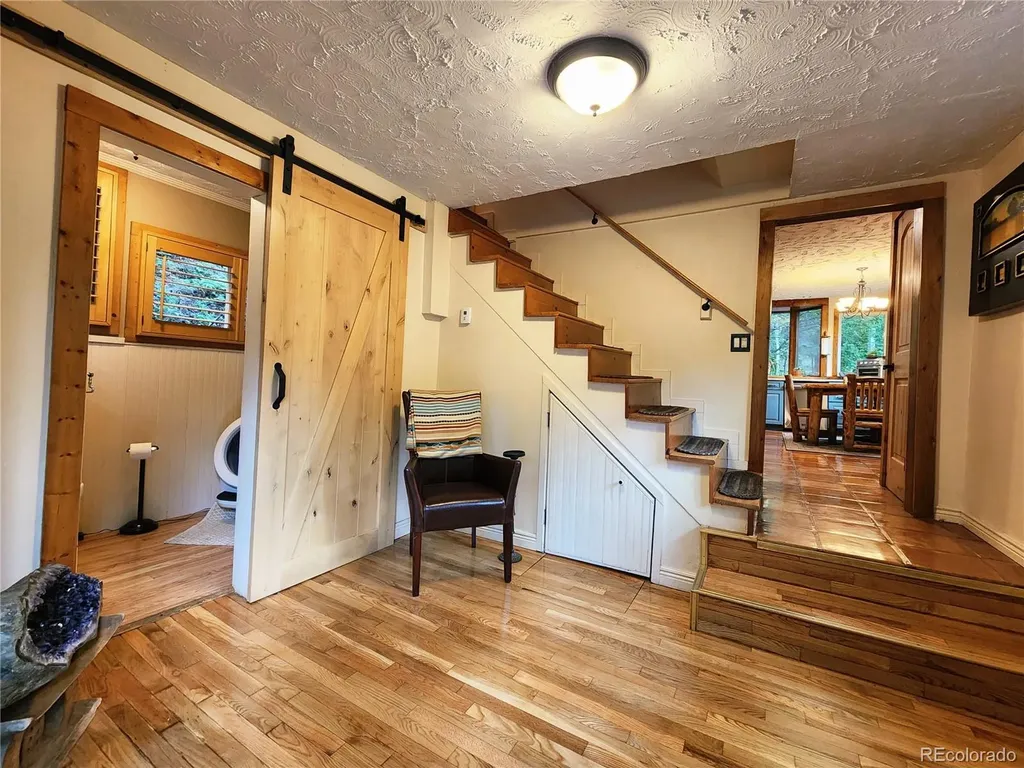 731 Mill Creek Road Dumont CO 80436