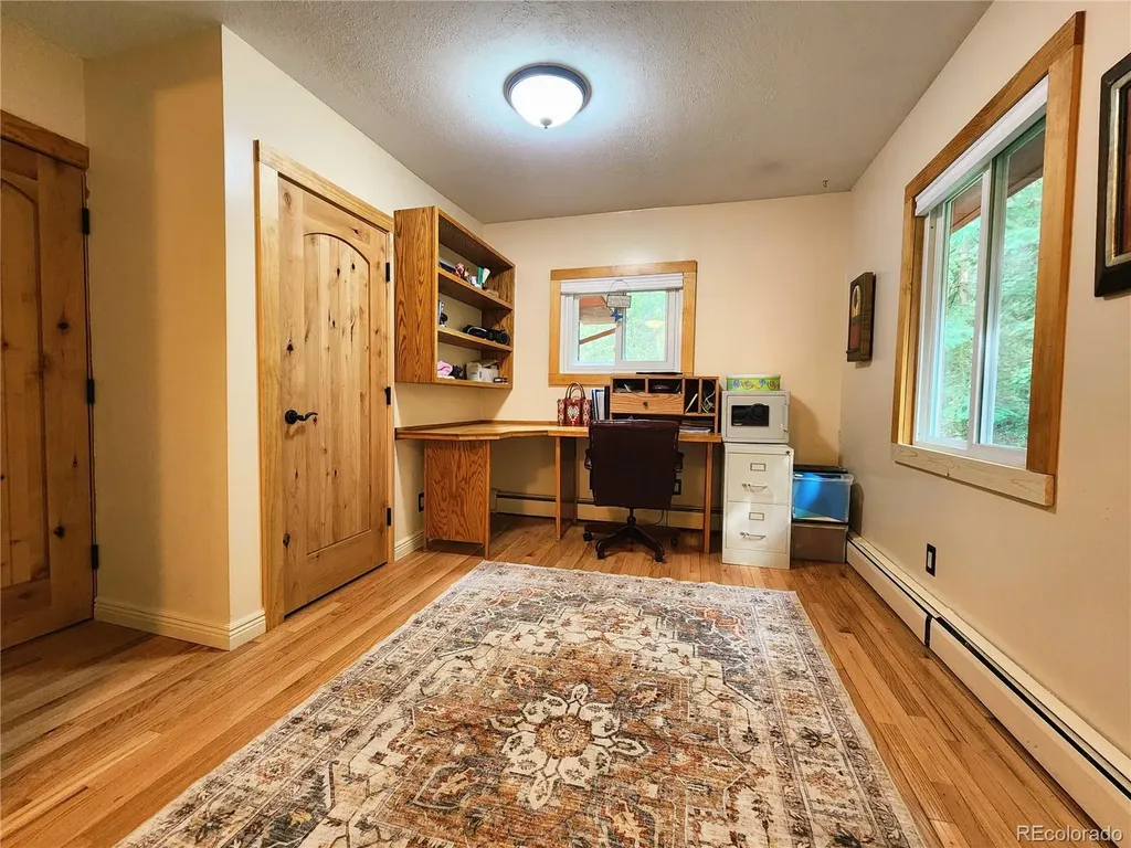 731 Mill Creek Road Dumont CO 80436
