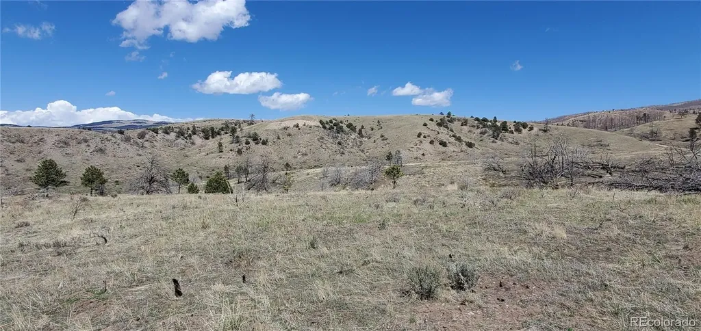 Lot 7699 Marie Road Fort Garland CO 81133