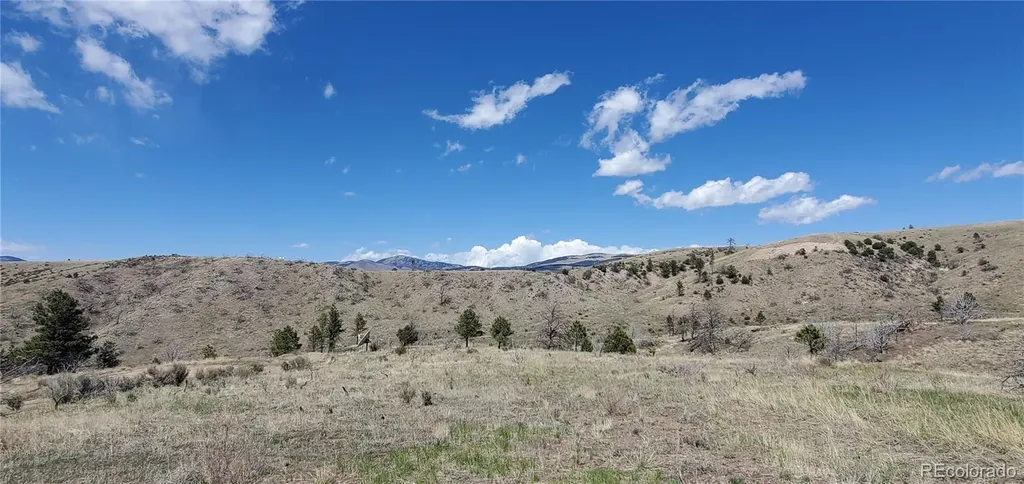 Lot 7699 Marie Road Fort Garland CO 81133