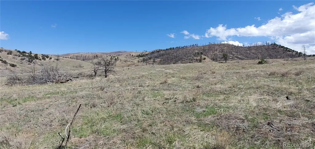 Lot 7699 Marie Road Fort Garland CO 81133