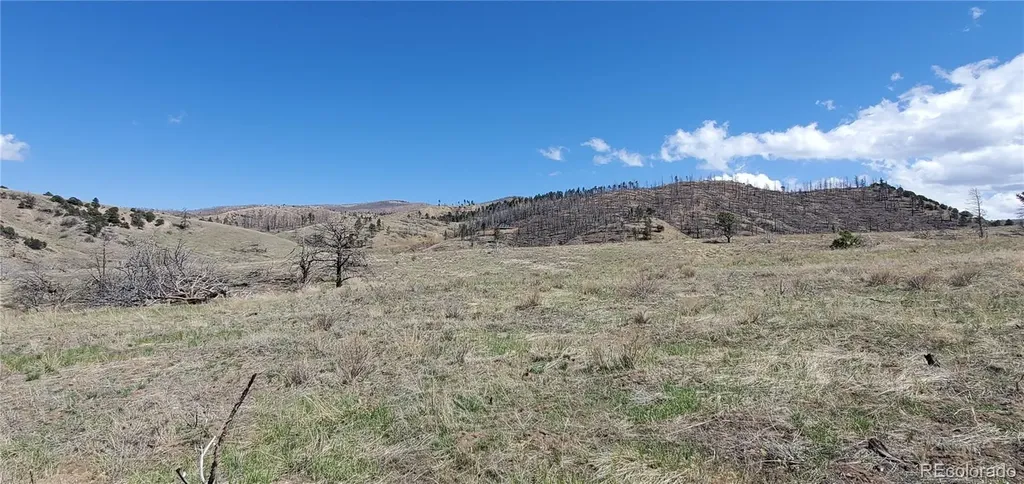 Lot 7699 Marie Road Fort Garland CO 81133