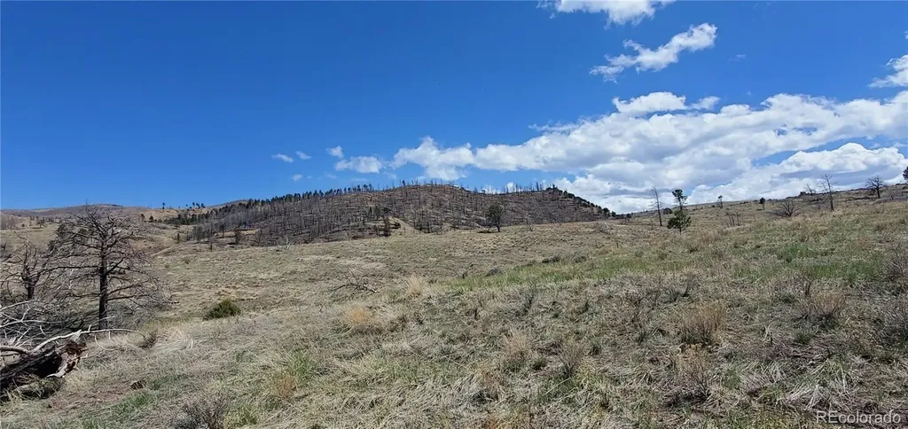 Lot 7699 Marie Road Fort Garland CO 81133