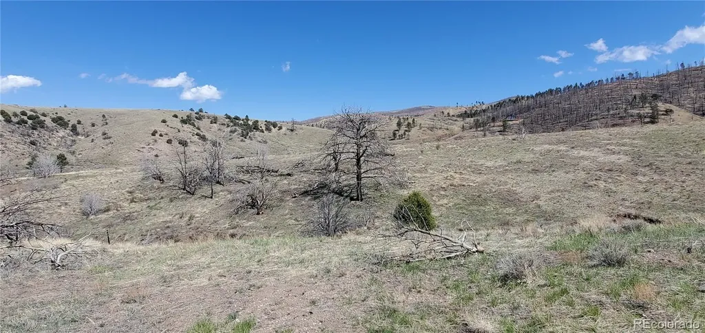 Lot 7699 Marie Road Fort Garland CO 81133