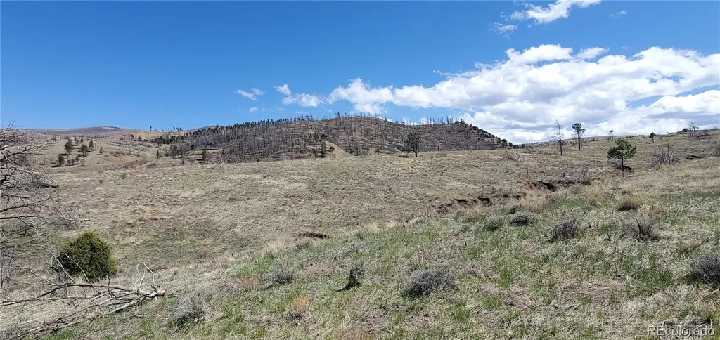 Lot 7699 Marie Road Fort Garland CO 81133