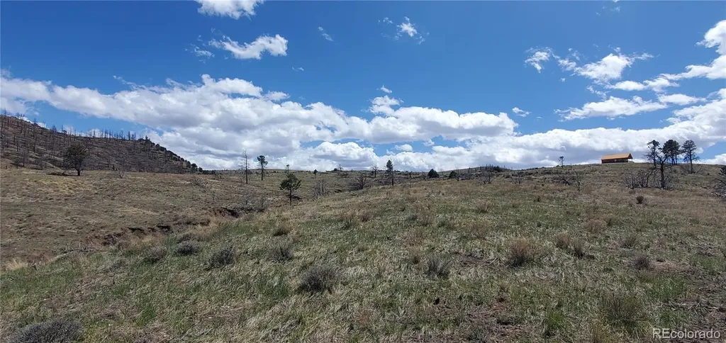 Lot 7699 Marie Road Fort Garland CO 81133