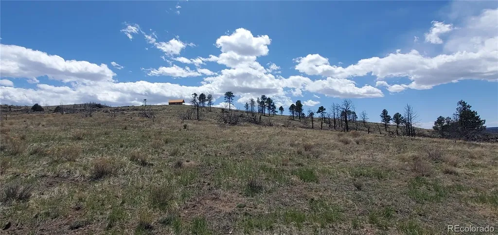 Lot 7699 Marie Road Fort Garland CO 81133