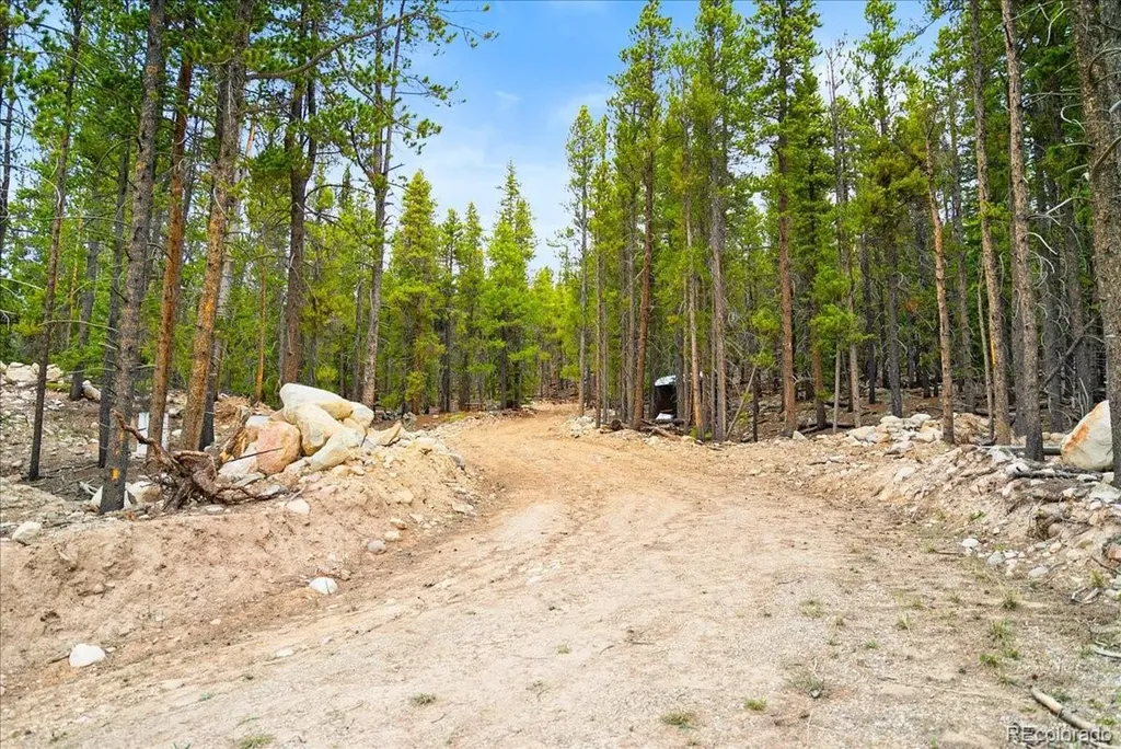 3259 Nugget Road Fairplay CO 80440