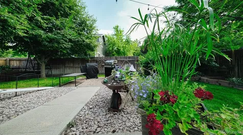 873 Fairhaven Street Castle Rock CO 80104