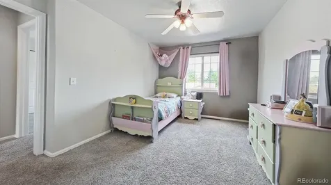873 Fairhaven Street Castle Rock CO 80104