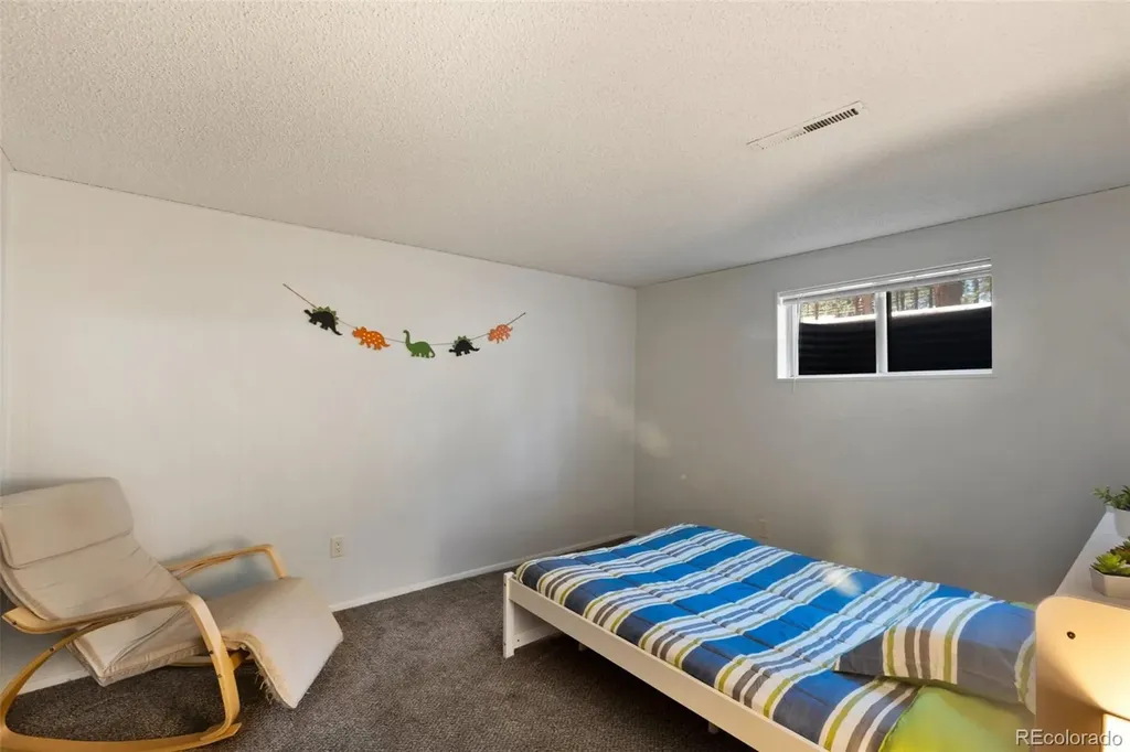 723 N Center Street Woodland Park CO 80863